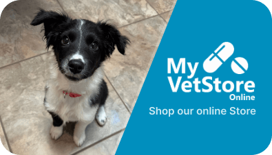 vet-store-image